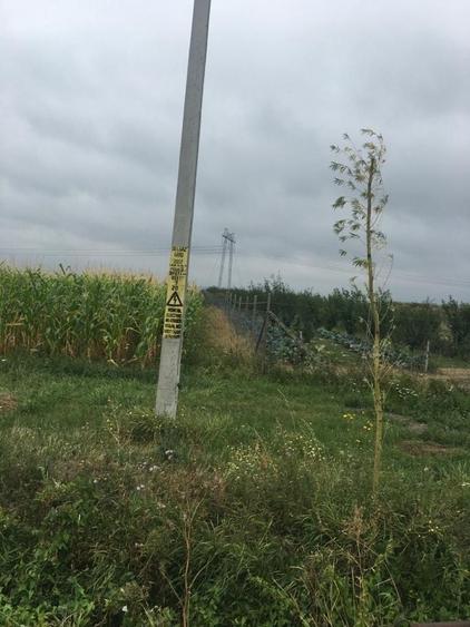 Teren de 4800 mp, în Spătărești