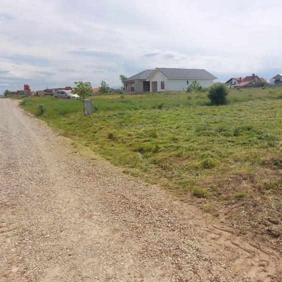 Teren de vanzare Cihei, jud.Bihor, str. Zambilelor nr.8 - 1