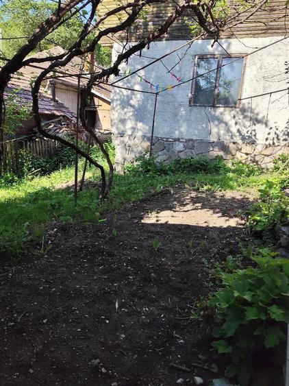 Casă cu 3 camere cu Teren 2000 Mp în Central