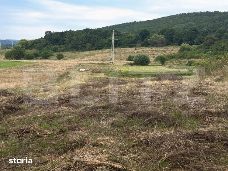 Teren 3.600 mp in Podu Olt Ideal pentru livada, cabana sau invest - 2