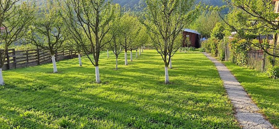 Teren de 1328 mp, în Ghinda