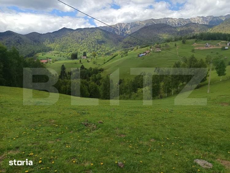 Casă cu 2 camere cu Teren 4807 Mp în Peștera
