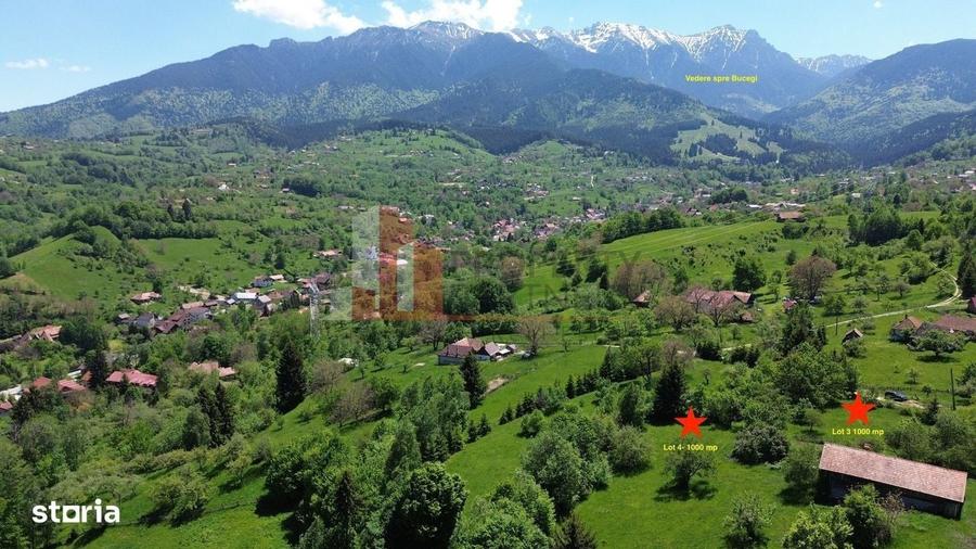 Spațiu comercial, în Bran