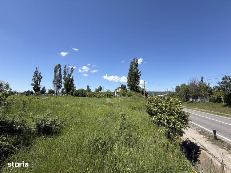 Teren Mioveni, Colibasi, Bld. Dacia, zona in dezvoltare - 4