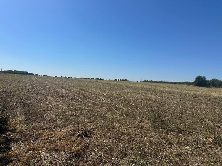 Teren Construcții extravilan de 10000 mp, în Tuzla