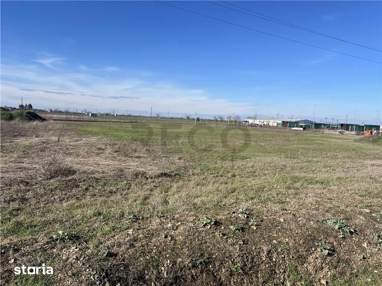 Teren de 5000 mp, în Sântandrei