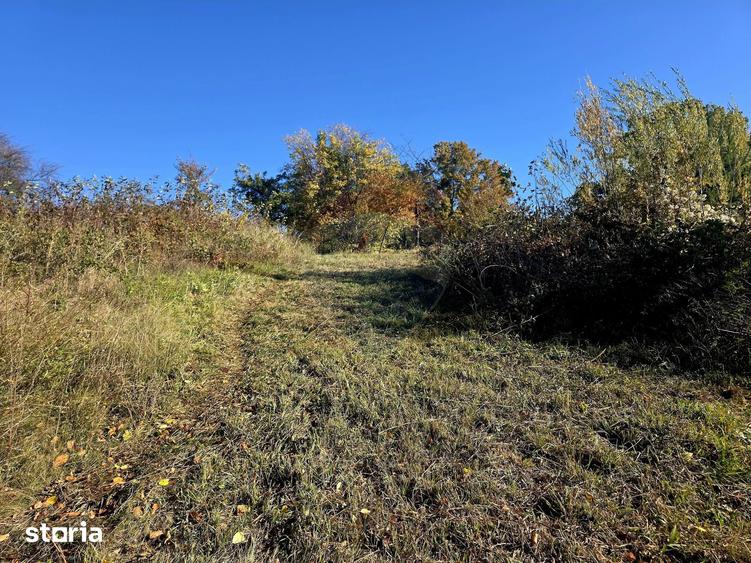 Casă cu 5 camere cu Teren 2700 Mp în Alexandru cel Bun