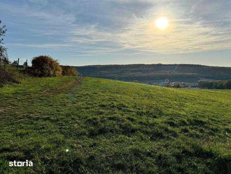 Teren de vanzare in Betfia, 5487 mp intravilan, Bihor, Gaminvest-V4571 - 4