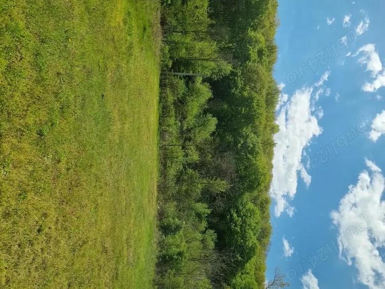 Teren de 2500 mp, în Tisău