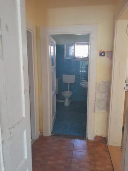 Zona Castel Transilvania, casa 16 ari teren - 5