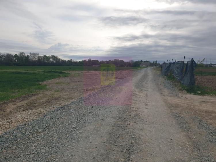 Teren în Măgurele