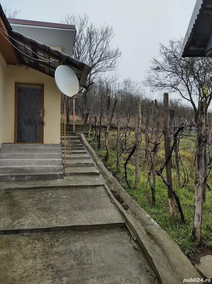 Casă în Filiași