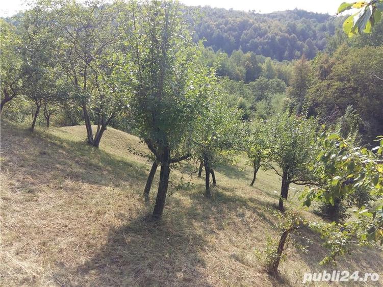 Teren de 5200 mp, în Central