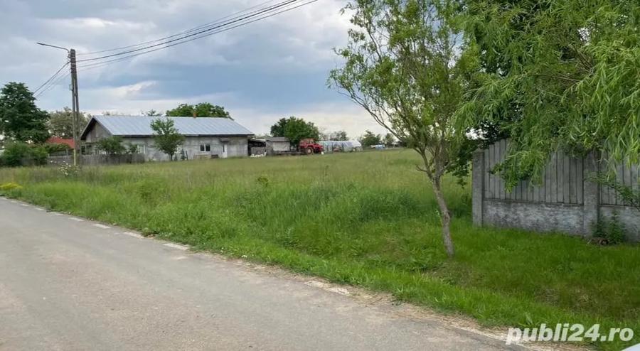 Teren de 7000 mp, în Bâldana