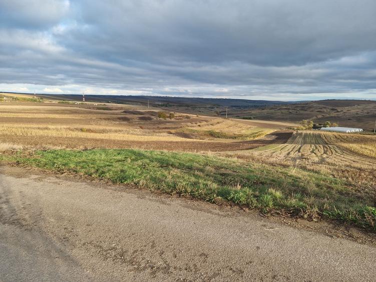 Teren de 5000 mp, în Stăuceni