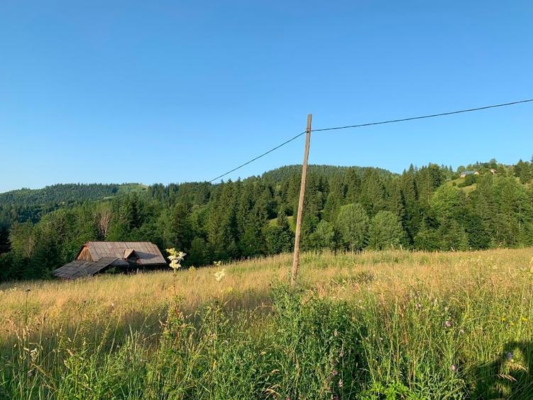 Teren Construcții intravilan de 4625 mp, în Central