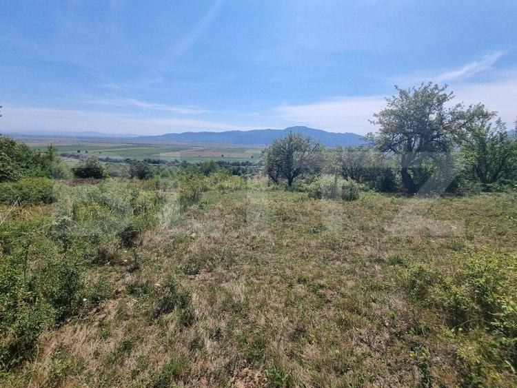 Teren Construcții extravilan de 3460 mp, în Vulcan