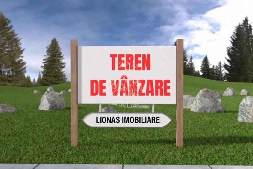 Teren Construcții intravilan de 3842 mp, în Livezile
