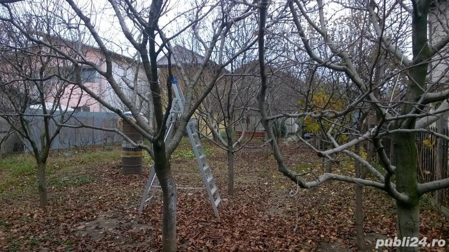 Teren de 370 mp, în Central
