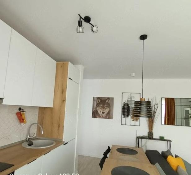 Apartament cu 2 camere decomandat, mobilat în Parcul Carol