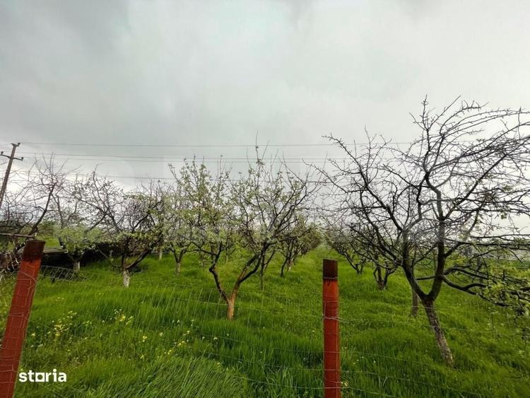 Spațiu comercial, în Pielești