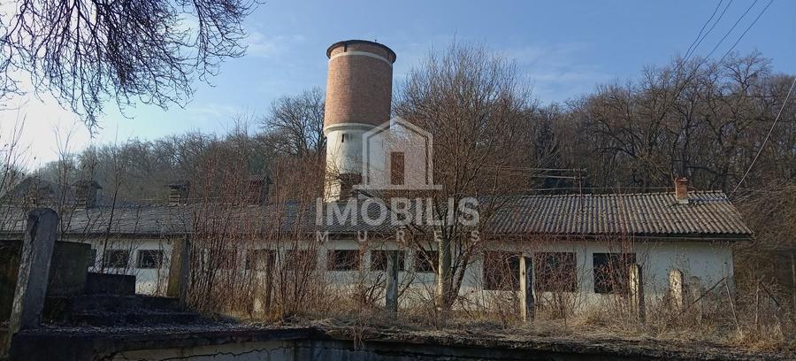 Teren Construcții intravilan de 13134 mp, în Budiului
