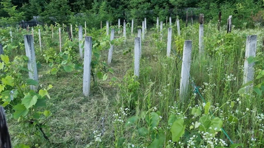 Casă individuală cu 3 camere cu Garaj în Exterior Nord