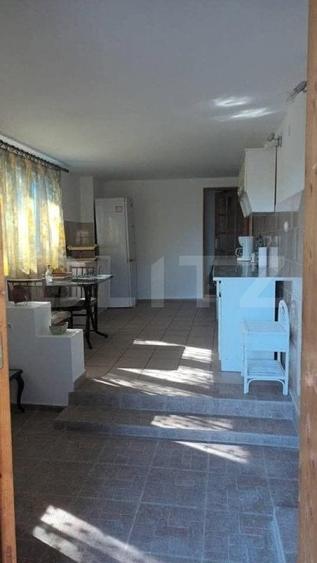 Casă individuală cu 5 camere cu Teren 2300 Mp în Micești