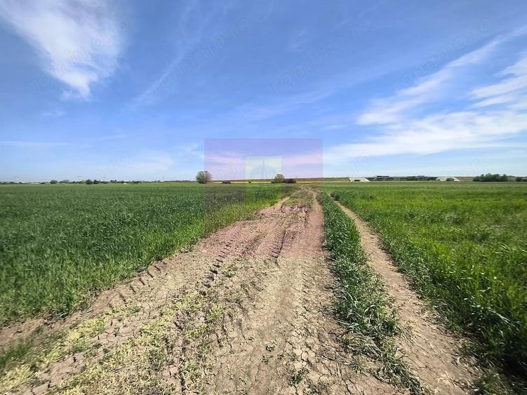 Teren de 2200 mp, în Dărăști-Ilfov