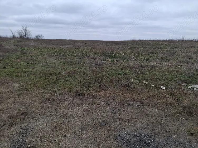 Teren de 2200 mp, în Gruiu