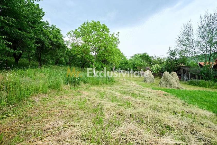 Casă cu 3 camere cu Teren 4696 Mp în Central