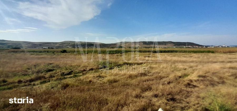 Teren intravilan pentru constructii de vanzare in Sannicoara - 1