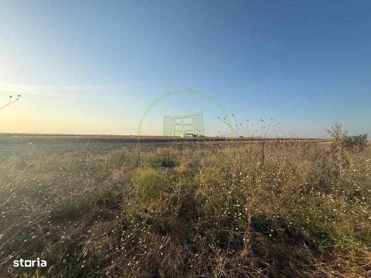 Teren intravilan, 375 mp, Pielesti, zona Oltenia Garden - 2