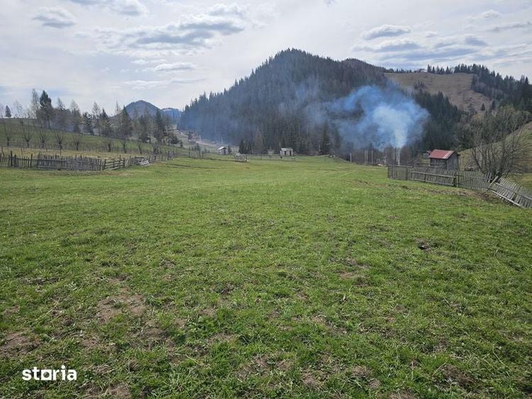 Teren de vanzare in Bucovina Fundu Moldovei - 7