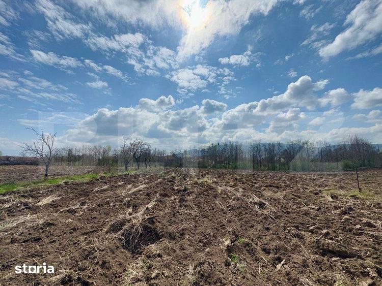 Teren intravilan de vanzare, 1500 mp, zona ?oimus - 1