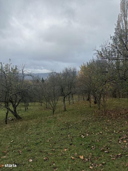 Spațiu comercial, în Cornu