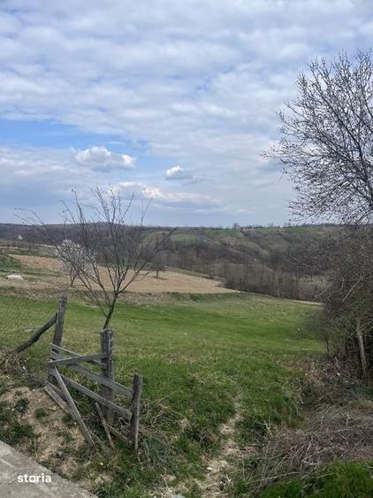 Teren de 5000 mp, în Copăcel