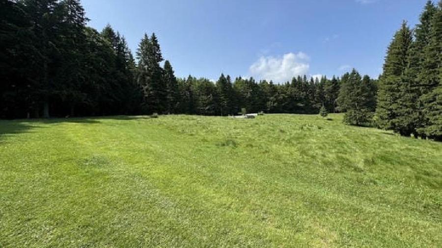 Teren agricol intravilan de 6000 mp, în Nord