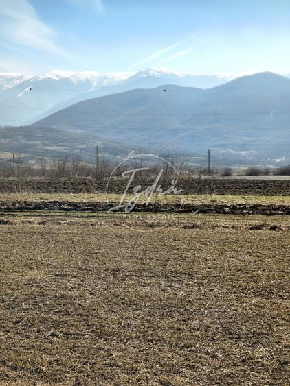 Teren agricol extravilan de 2800 mp, în Tălmaciu