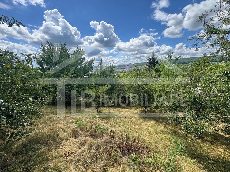Teren Construcții intravilan de 2300 mp, în Diamant
