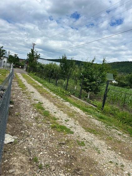 Teren de 2200 mp, în Pătrăuți