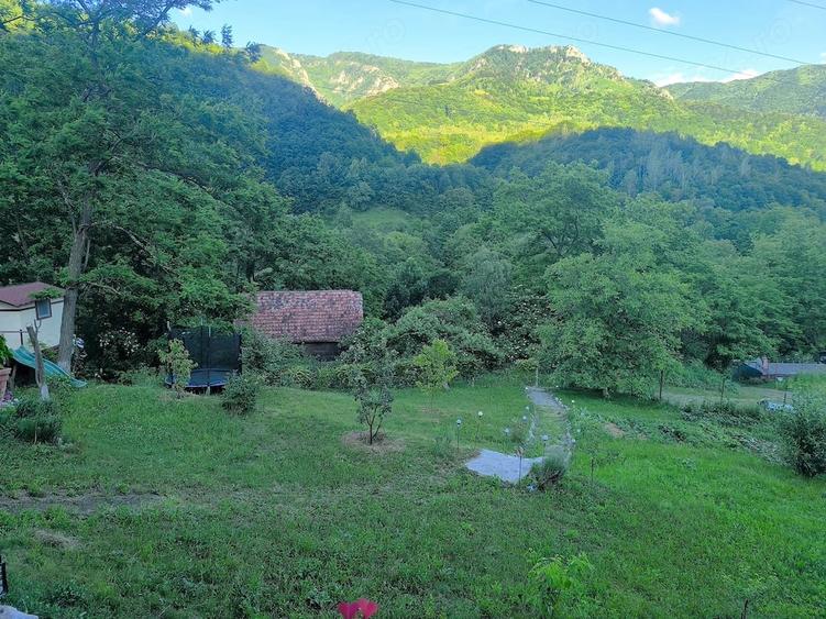 Casă cu Teren 1500 Mp în Ocoliș