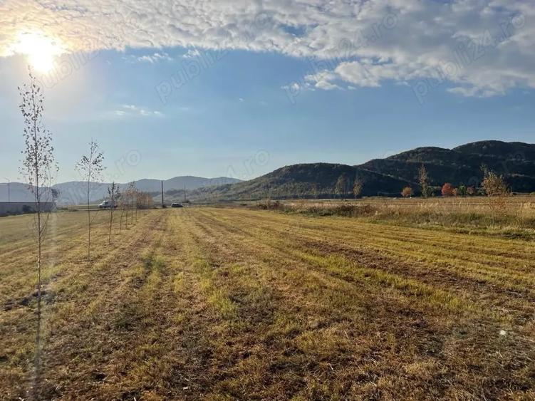 Teren de 3000 mp, în Măgureni