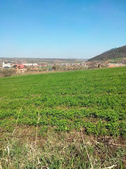 Teren de 3300 mp, în Râciu