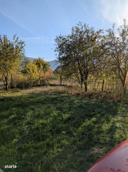 Casă cu 2 camere în Cernești