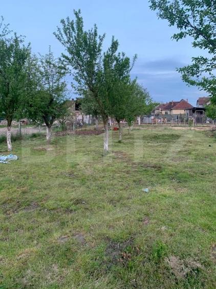 Teren Construcții intravilan de 1500 mp, în Cionchești
