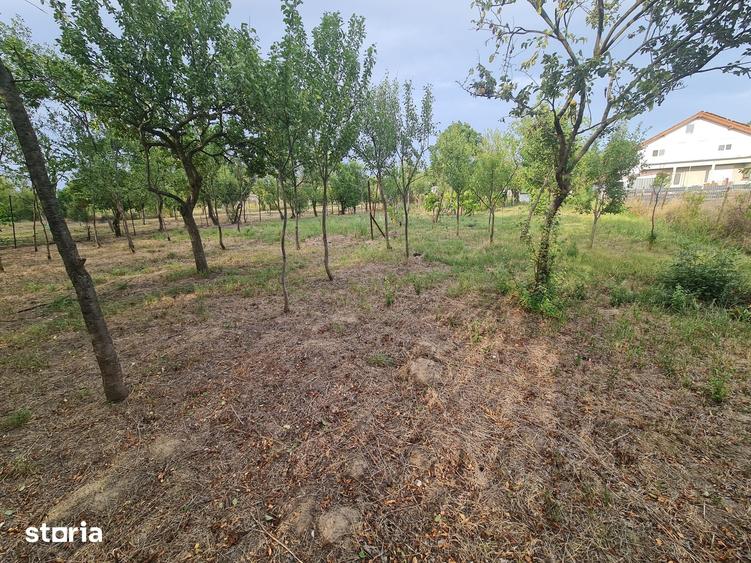 Casă cu 5 camere cu Teren 1496 Mp în Bocsig