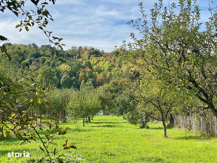 Casă cu 4 camere cu Teren 2224 Mp în Aluniș
