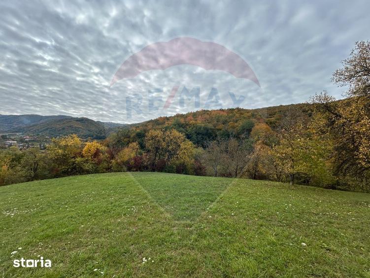 Teren de 2000 mp, în Copalnic