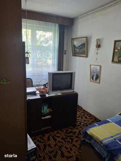 3Camere Pajura Policlinica Posta - 20